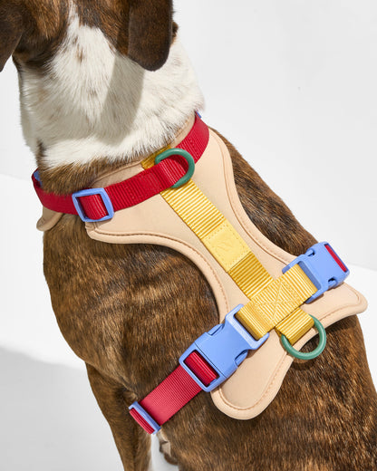 Cushioned Dog Harness