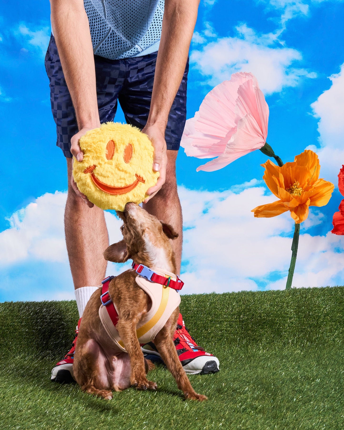 Playful Plush Dog Toy