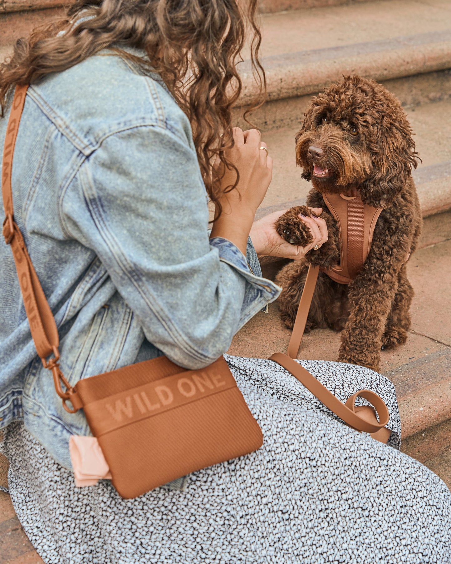 Cushioned Dog Harness