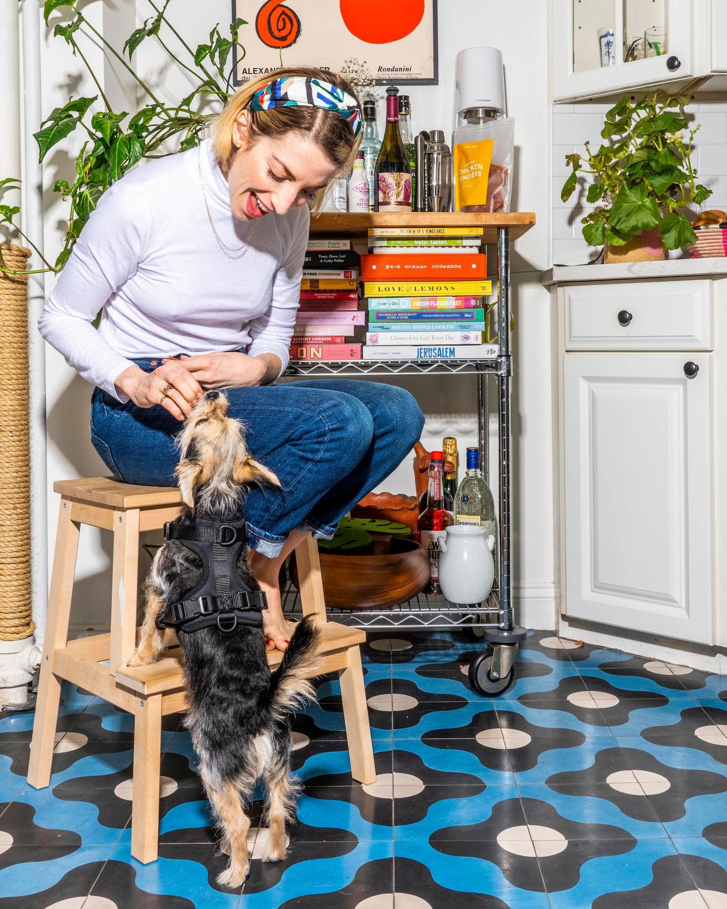 Cushioned Dog Harness