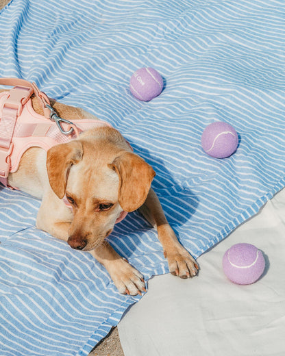 Tennis Balls 4-Pack