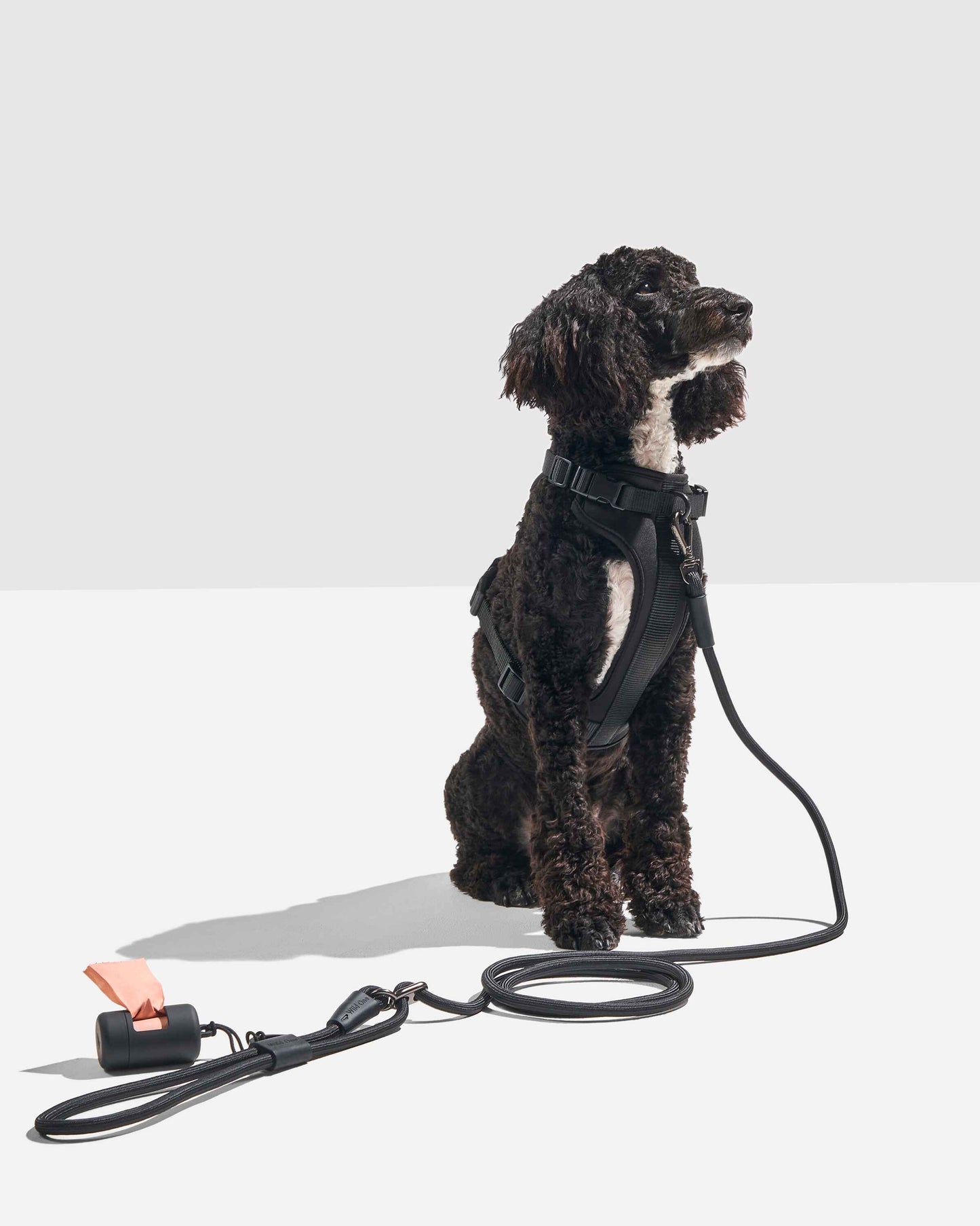 Hands-Free Rope Dog Leash