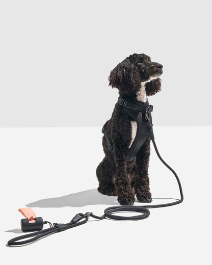 Hands-Free Rope Dog Leash