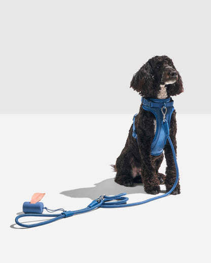 Hands-Free Rope Dog Leash