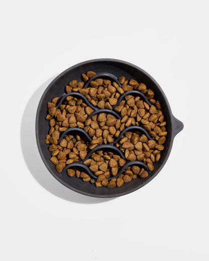 Dog Slow Feeder