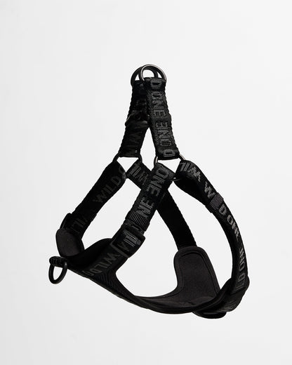 Step-In Dog Harness