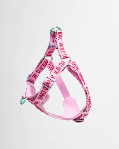 Step-In Dog Harness