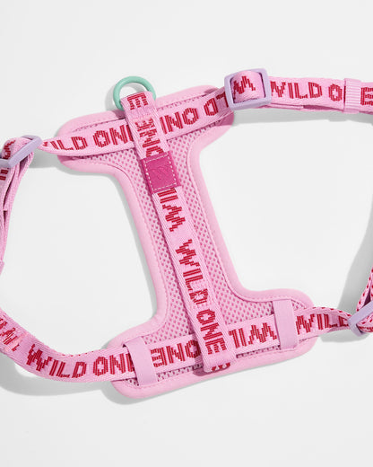 Step-In Harness + Lightweight Leash Walk Kit