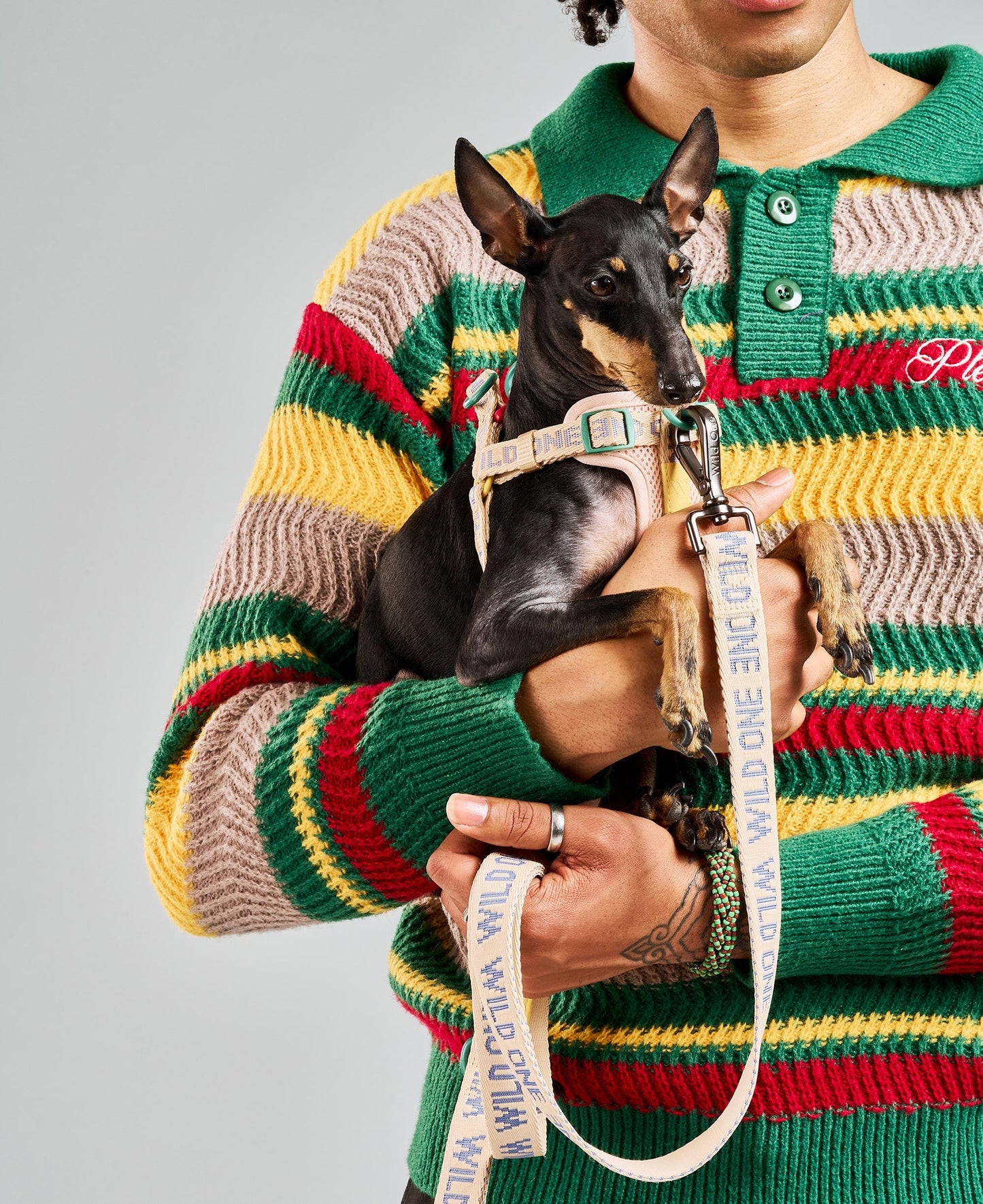 Step-In Dog Harness