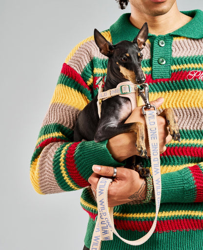 Step-In Dog Harness