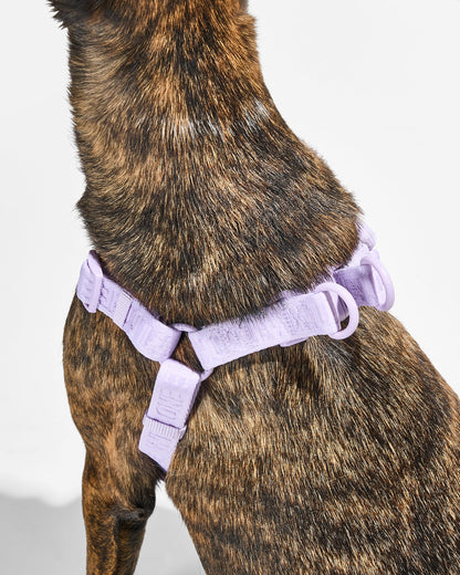 Step-In Dog Harness