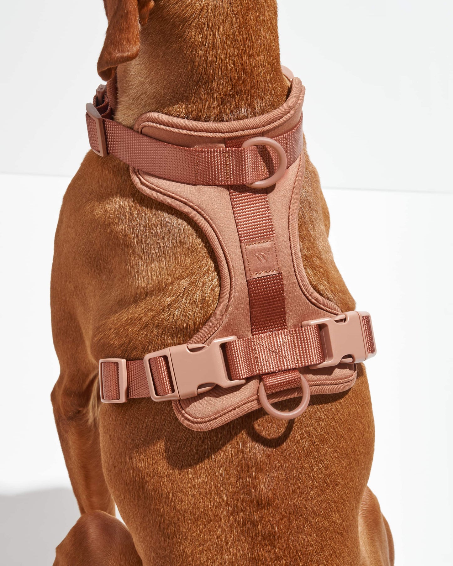 Cushioned Dog Harness