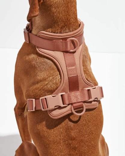 Cushioned Dog Harness