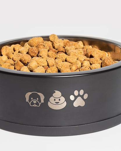 Dog Bowl