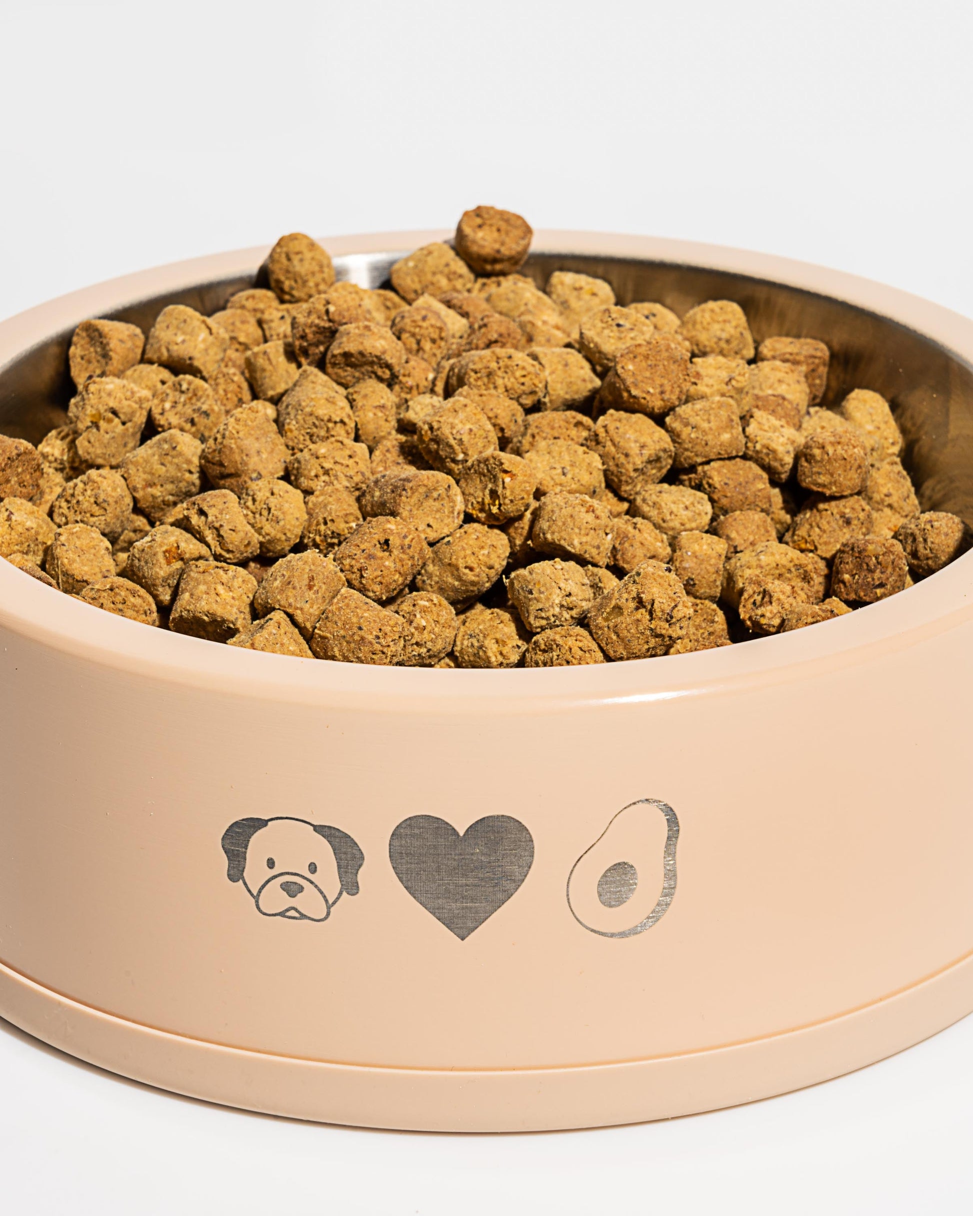 Dog Bowl