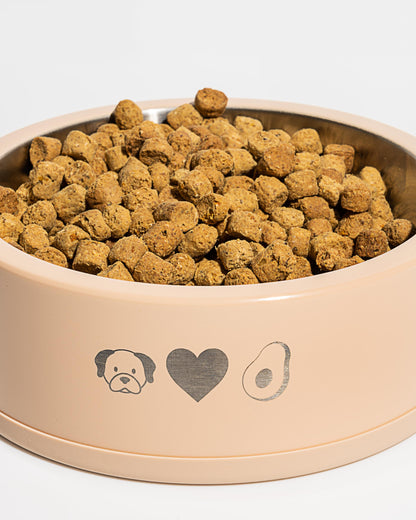 Dog Bowl