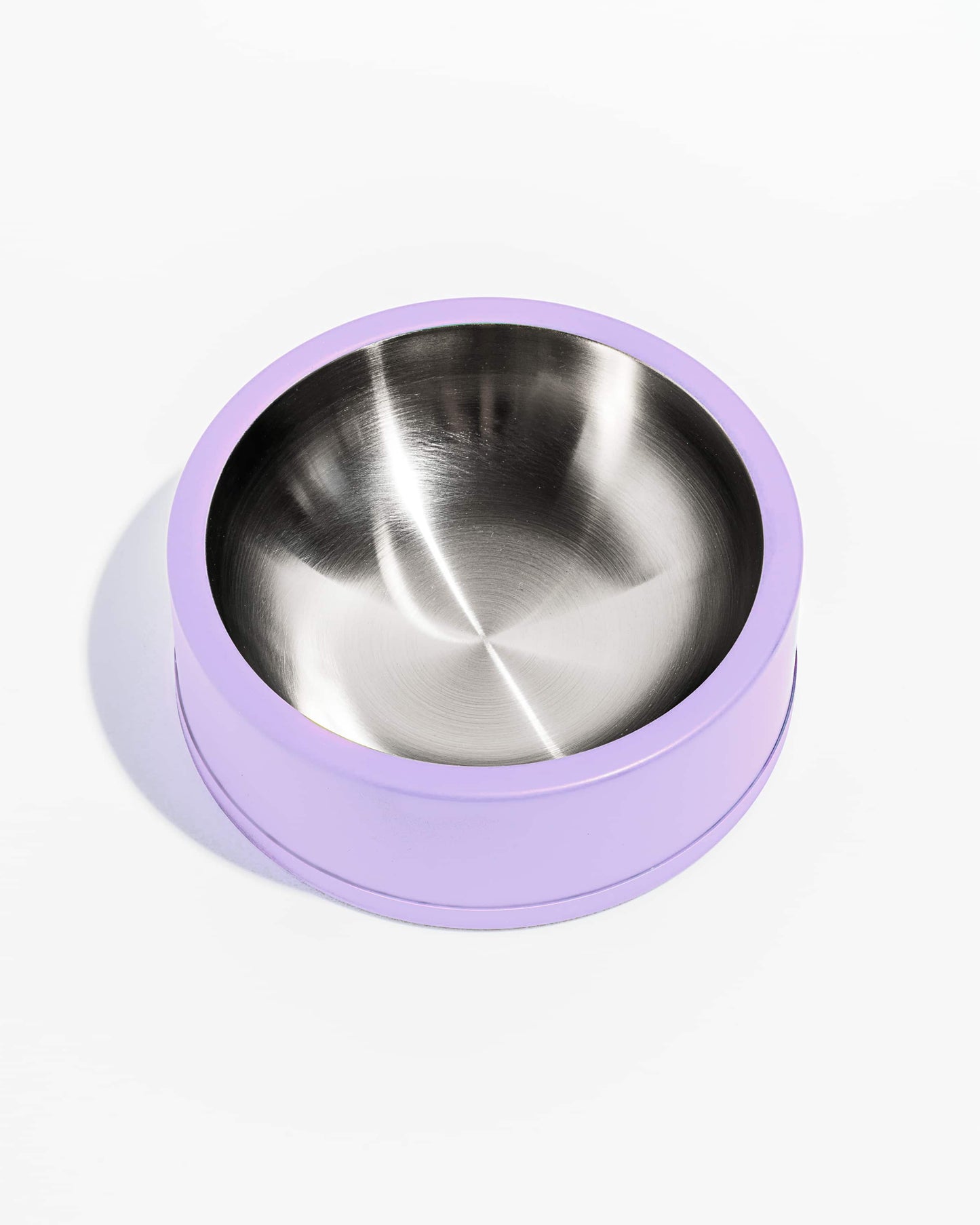 Dog Bowl