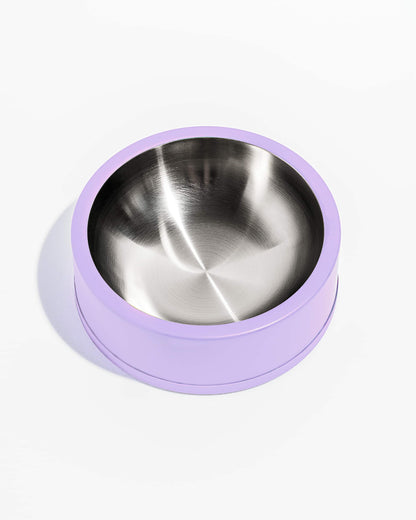 Dog Bowl