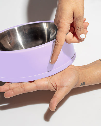 Dog Bowl