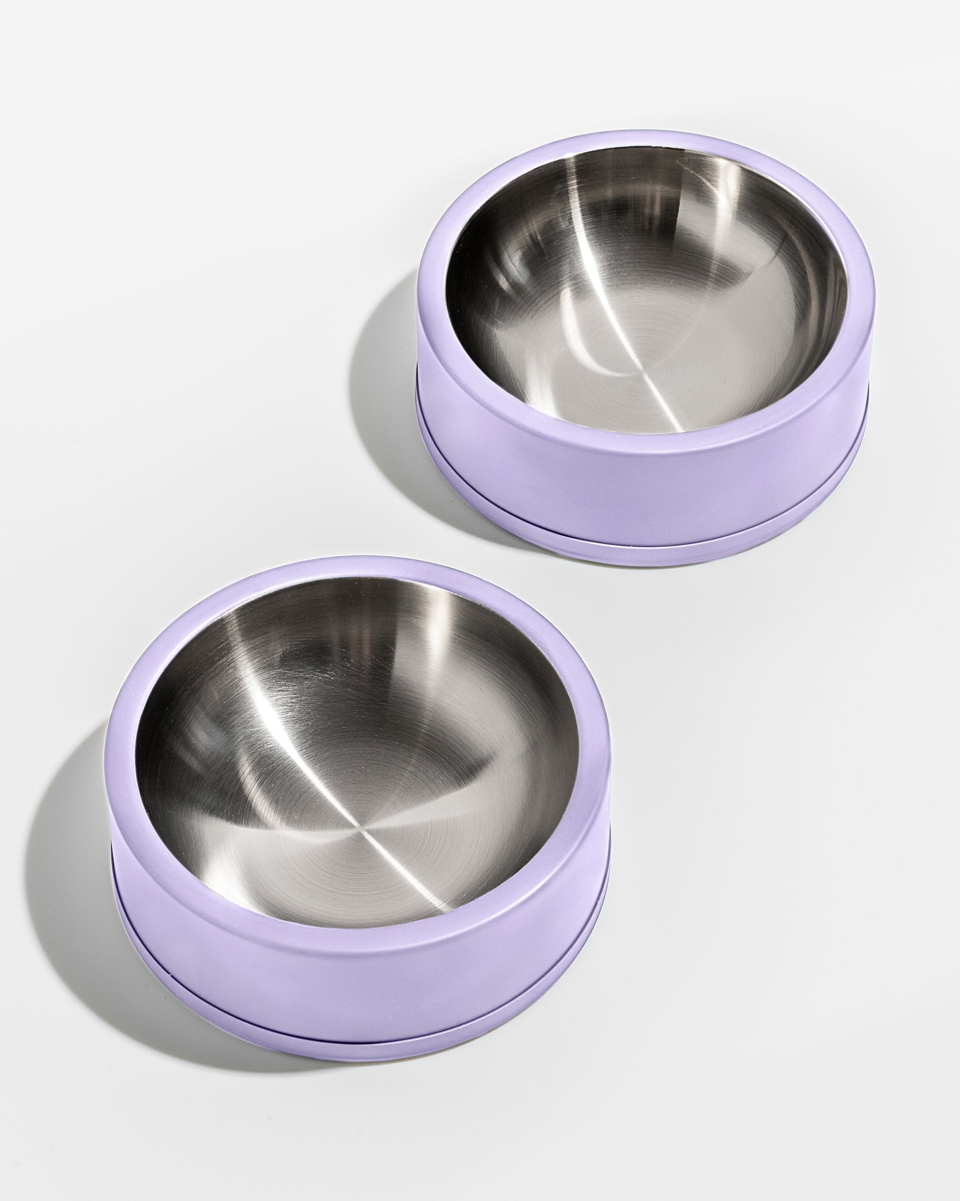 Dog Bowl