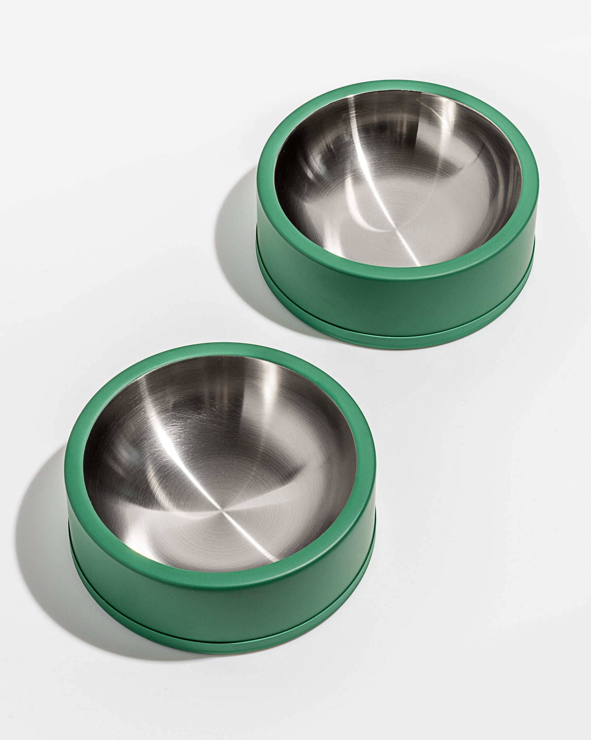 Dog Bowl