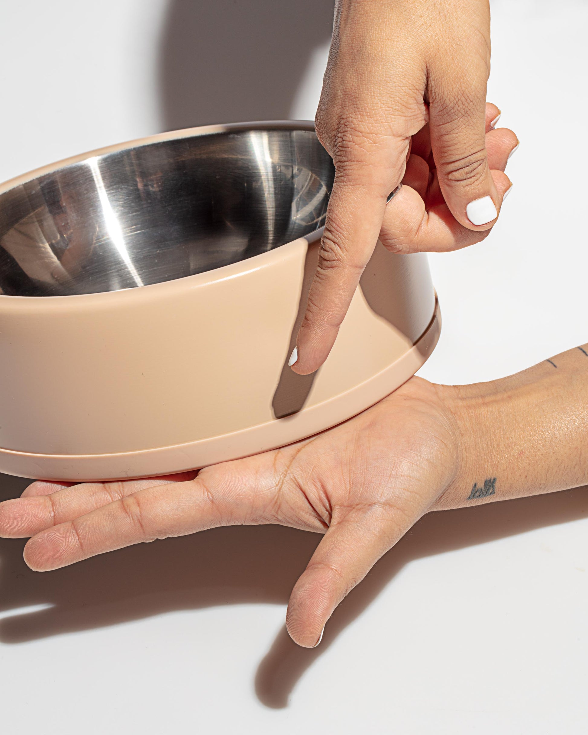Dog Bowl