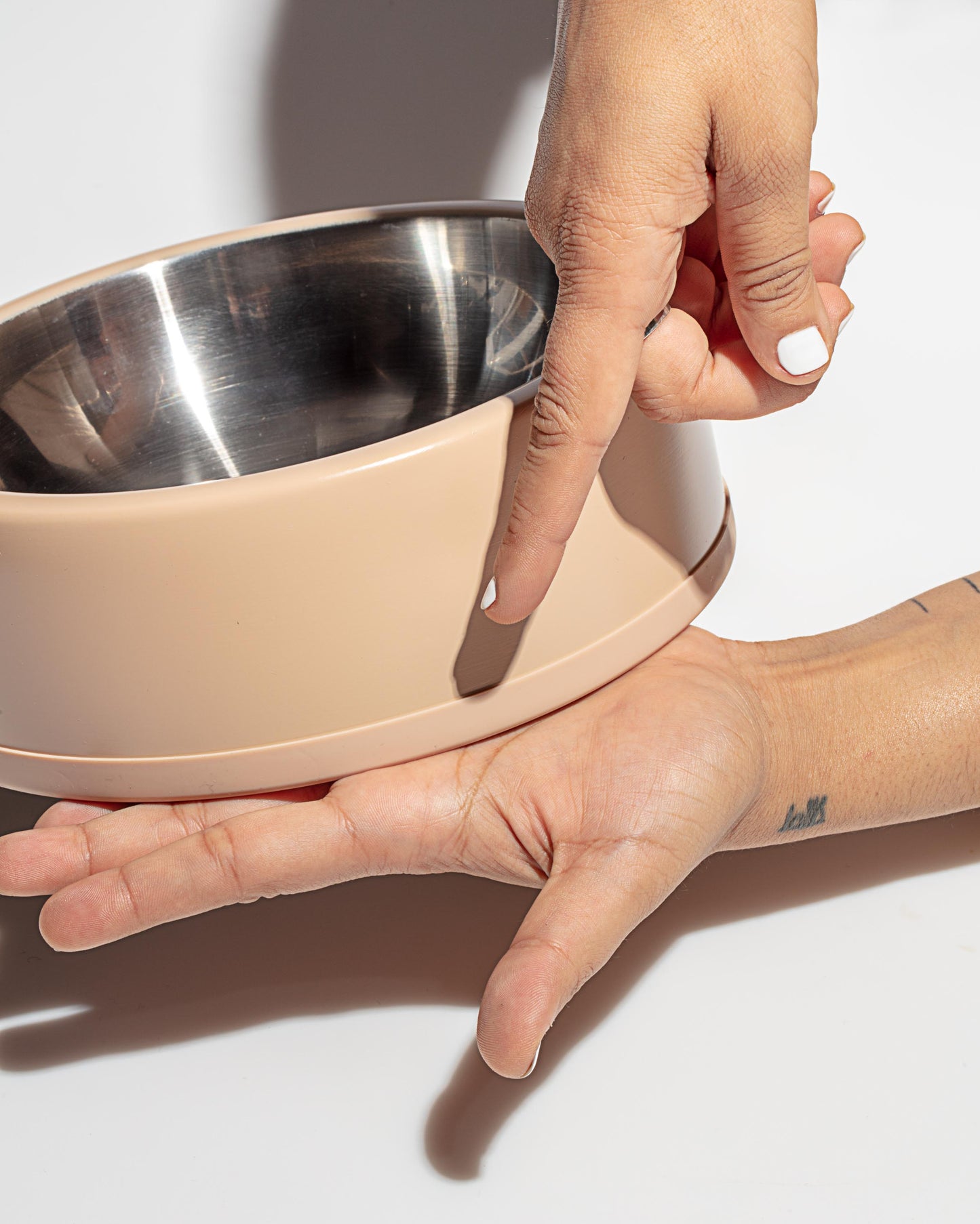 Dog Bowl