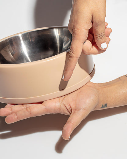 Dog Bowl