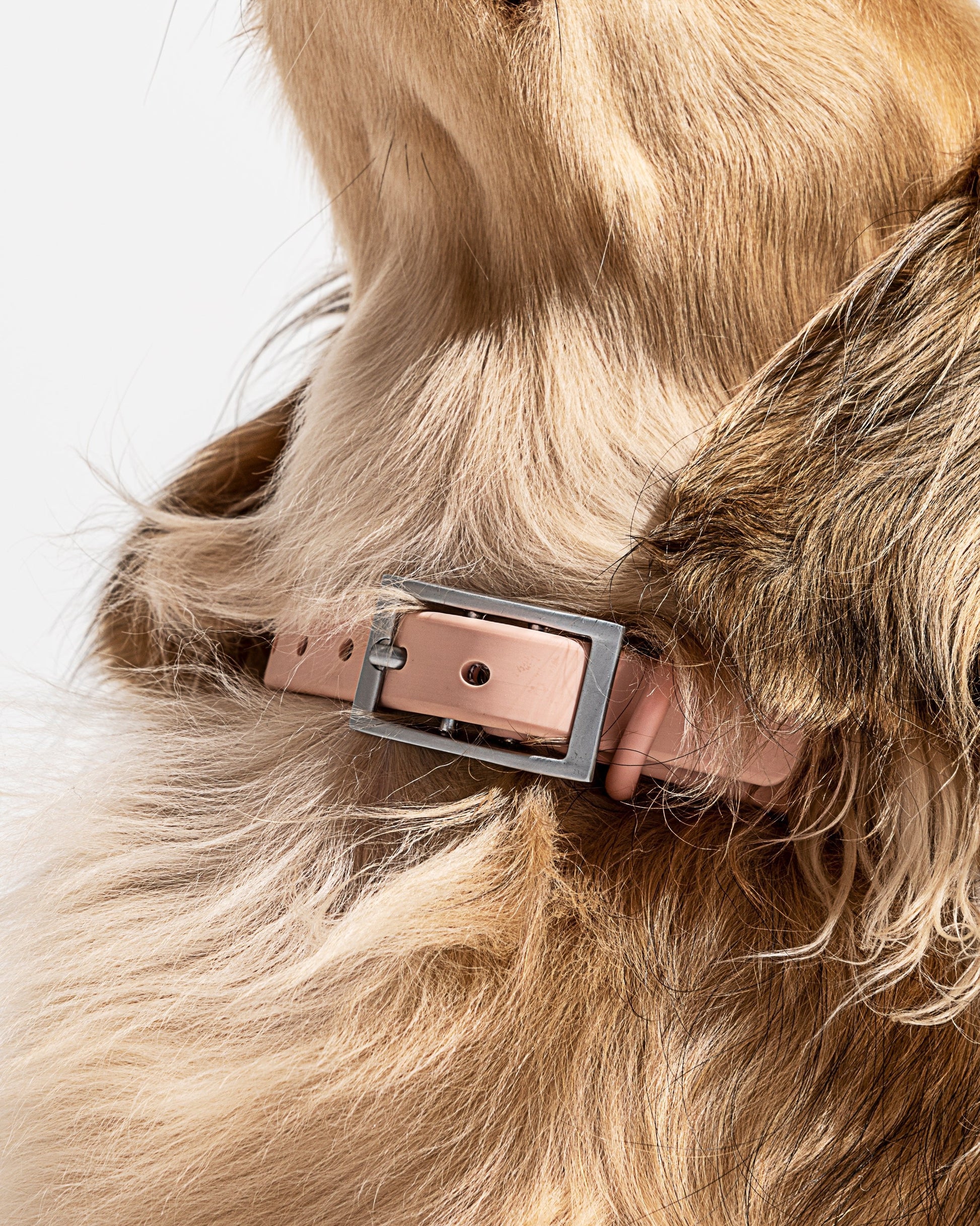 Waterproof Dog Collar