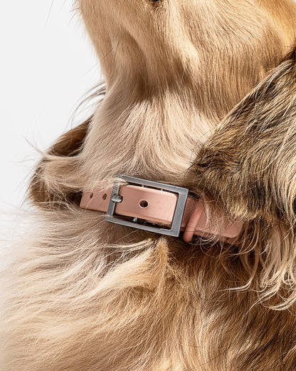 Waterproof Dog Collar