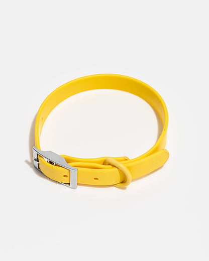 Waterproof Dog Collar