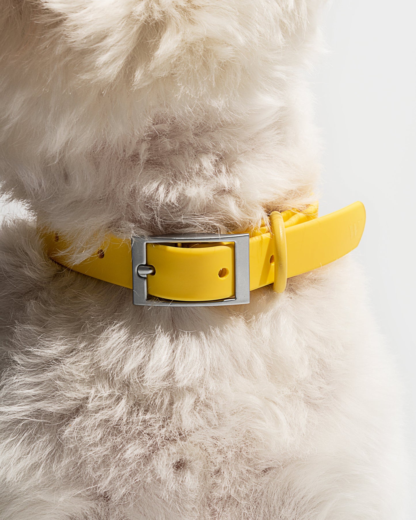 Waterproof Dog Collar