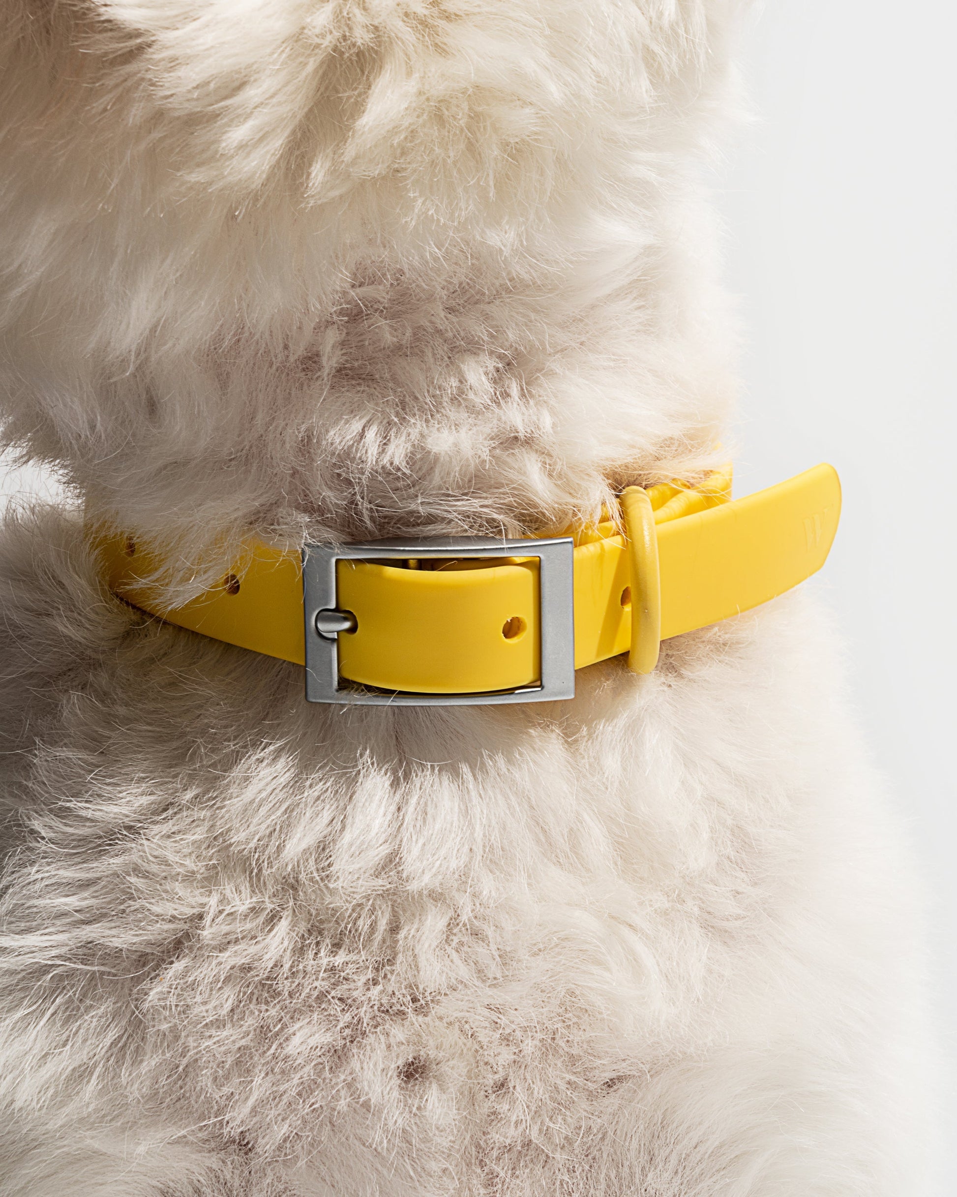 Waterproof Dog Collar
