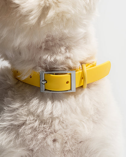 Waterproof Dog Collar