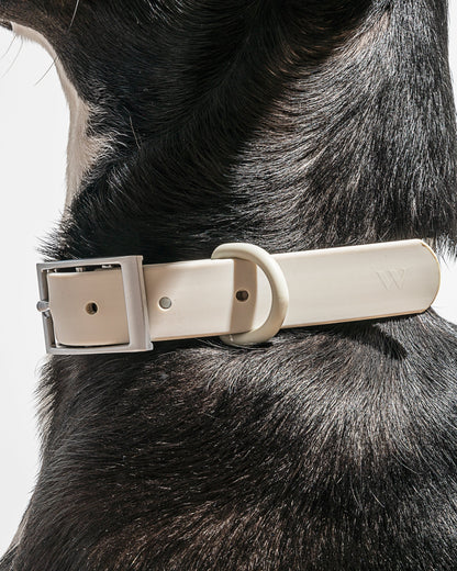 Waterproof Dog Collar