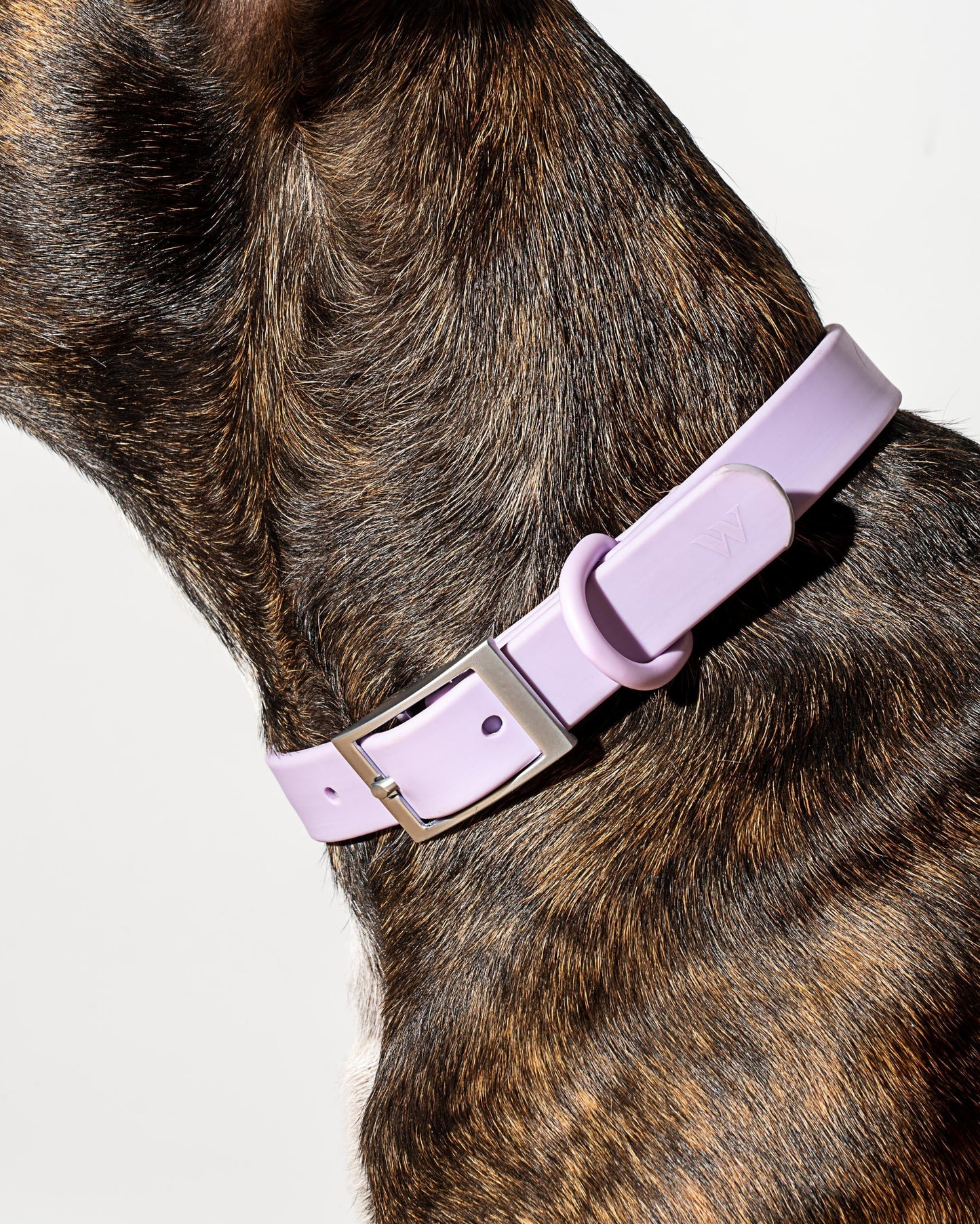 Waterproof Dog Collar