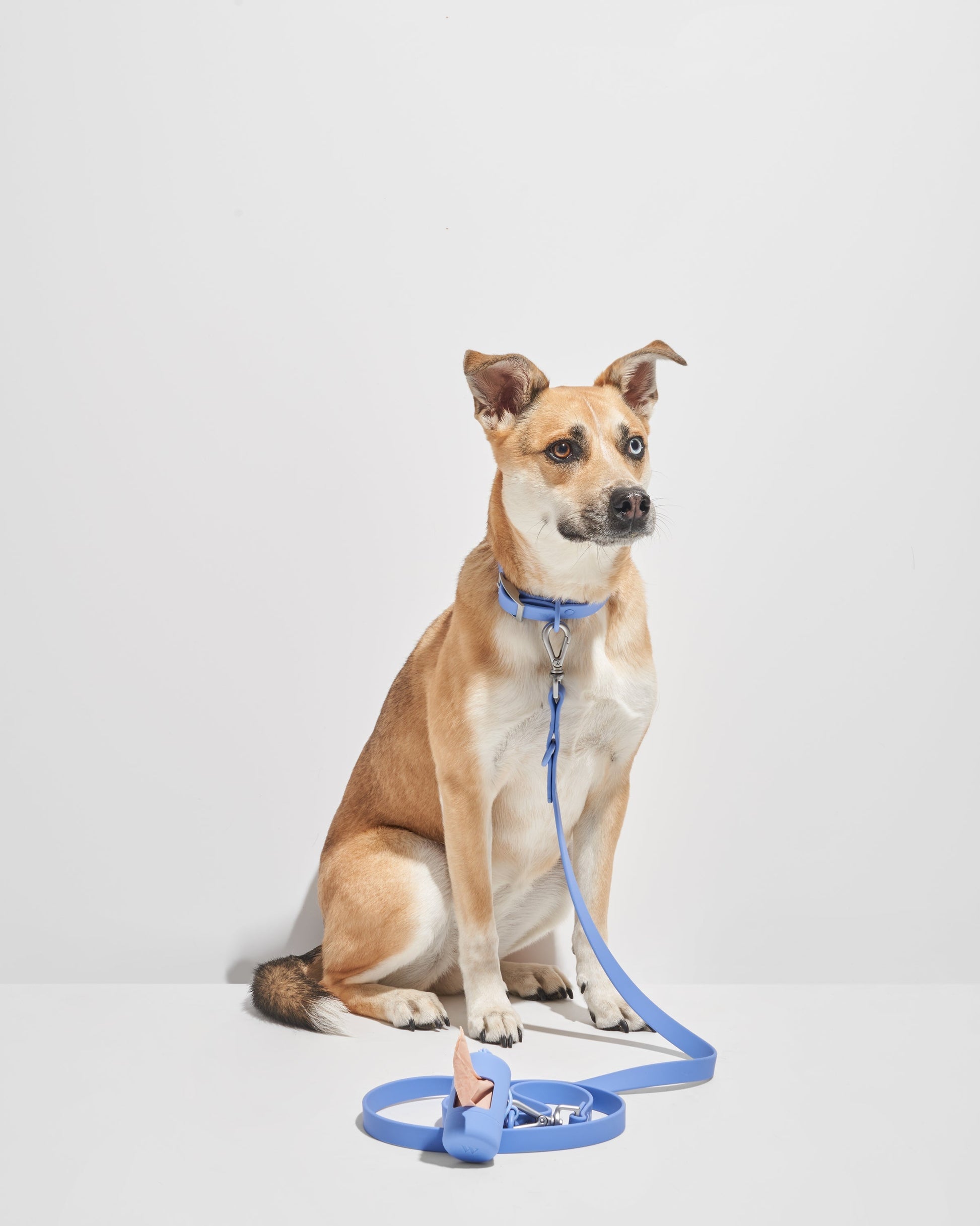 Waterproof Dog Collar