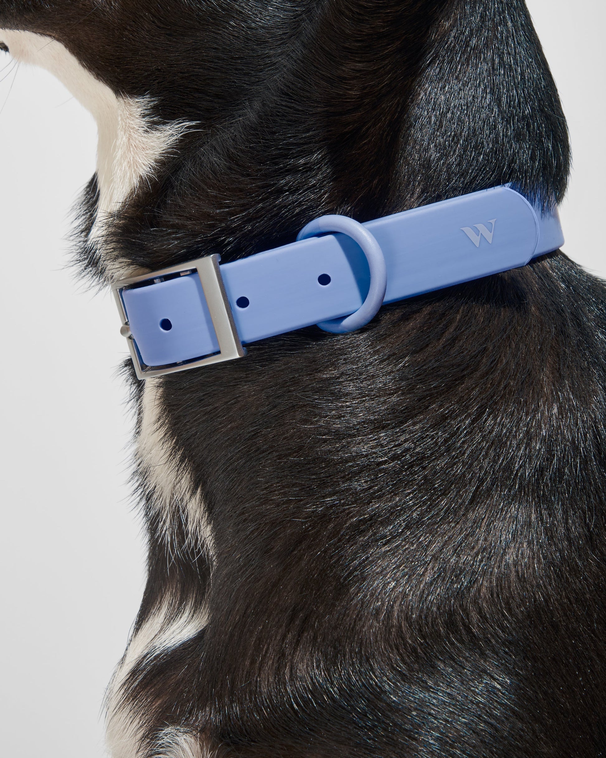 Waterproof Dog Collar