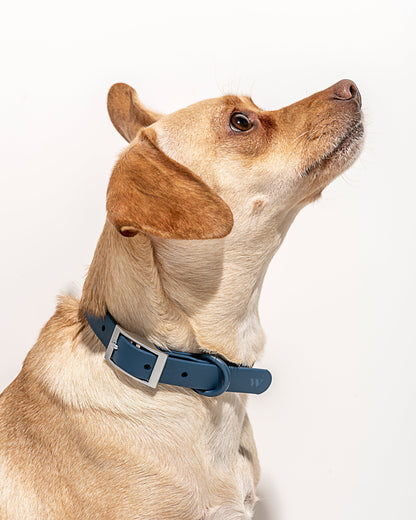 Waterproof Dog Collar