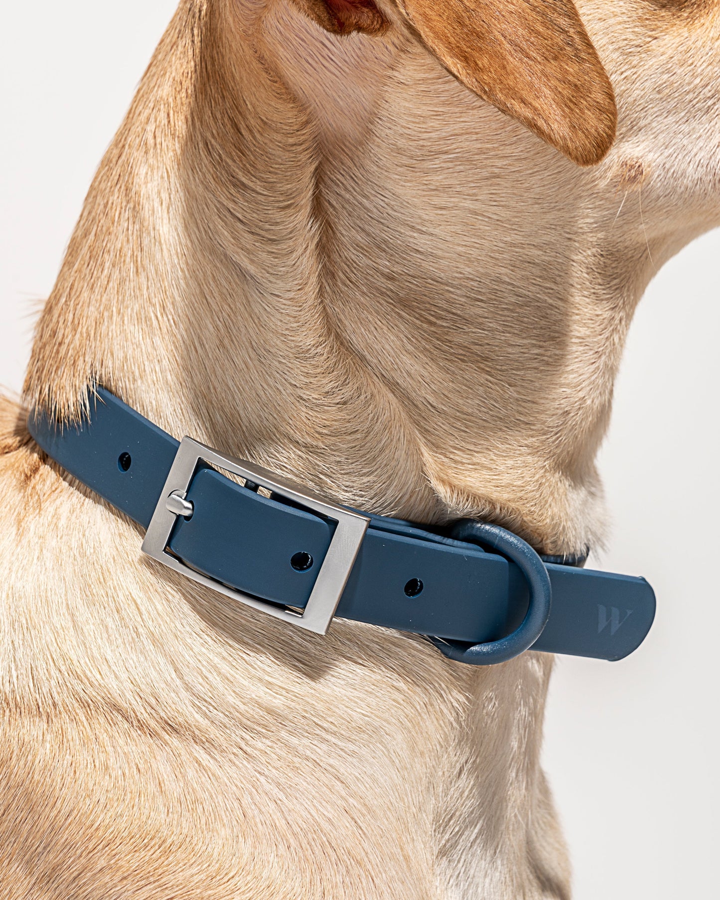 Waterproof Dog Collar