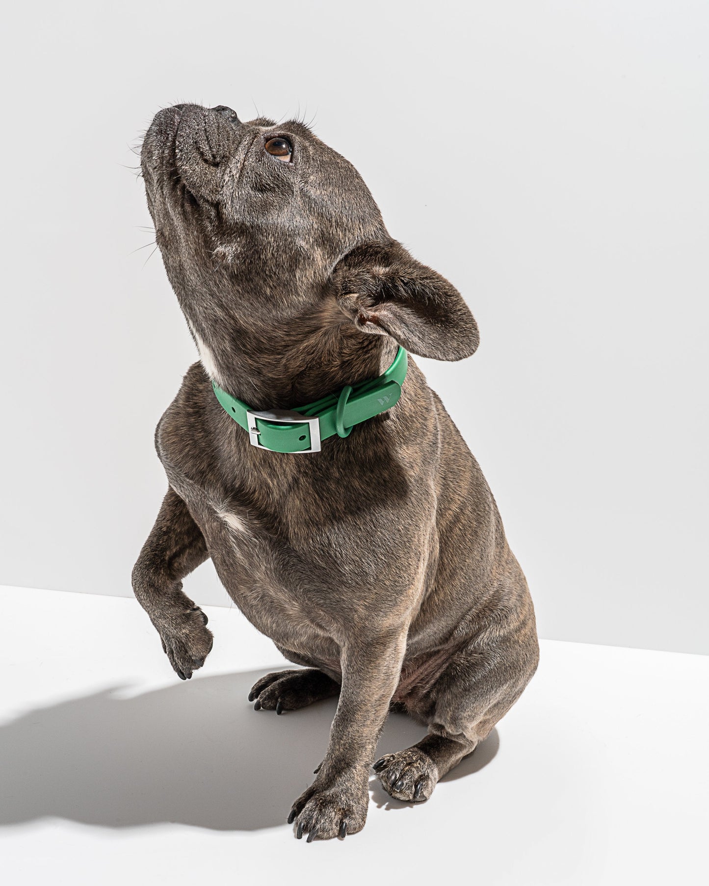 Waterproof Dog Collar