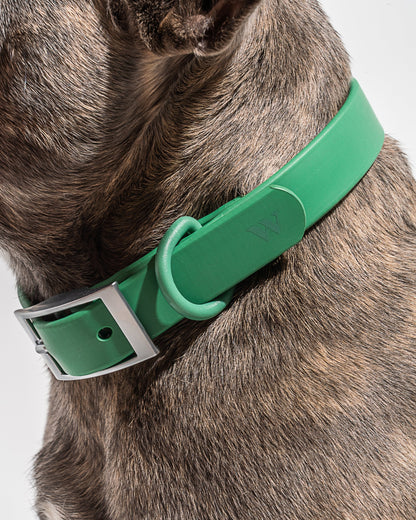 Waterproof Dog Collar