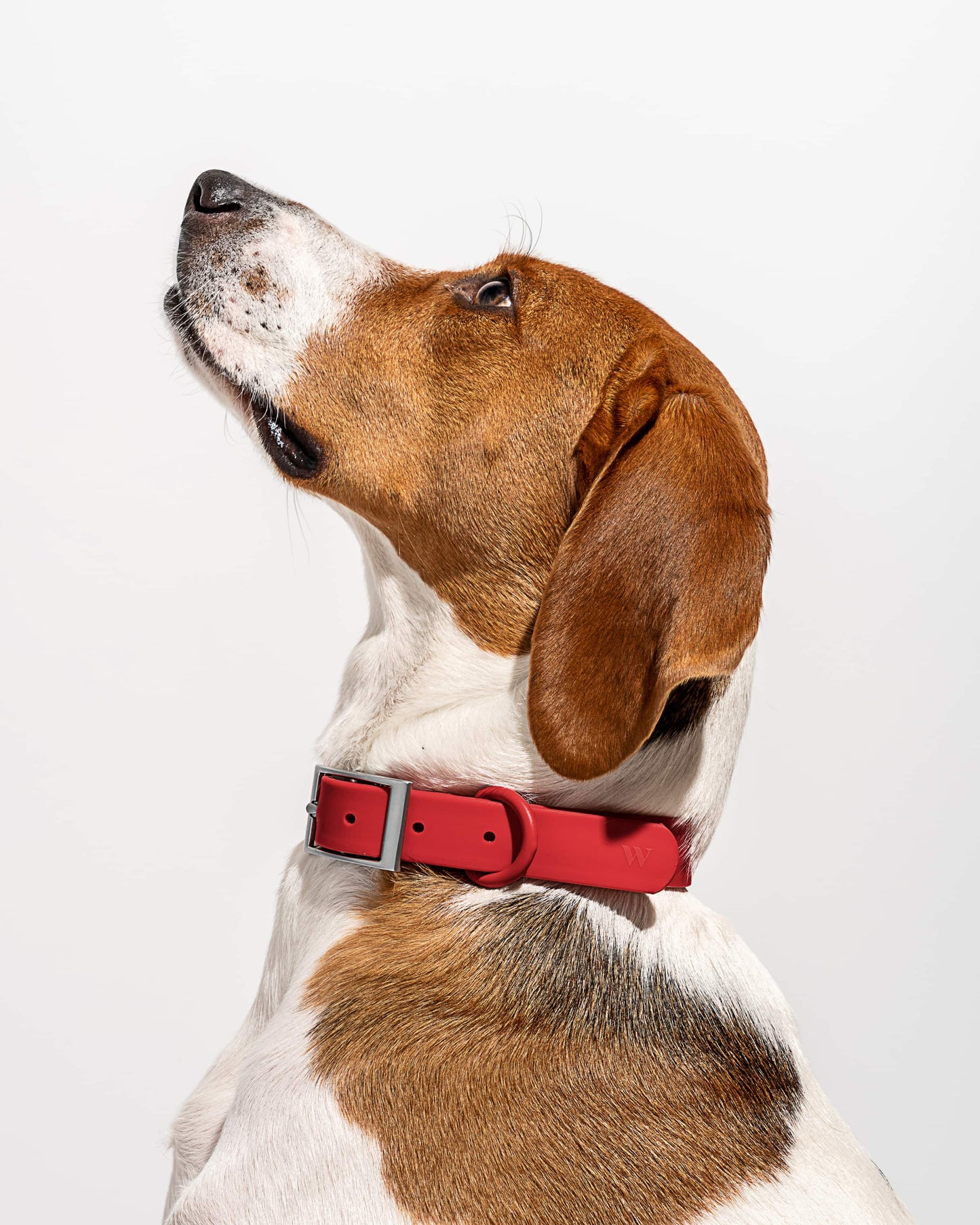Waterproof Dog Collar