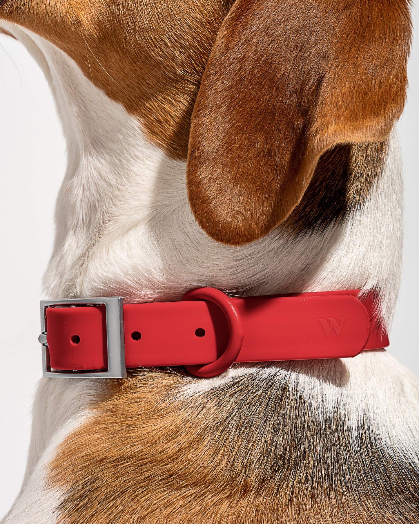 Waterproof Dog Collar