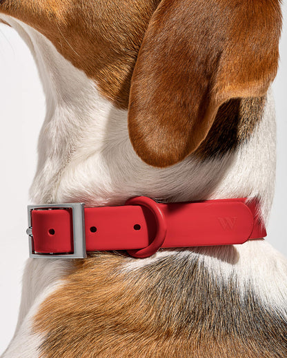 Waterproof Dog Collar