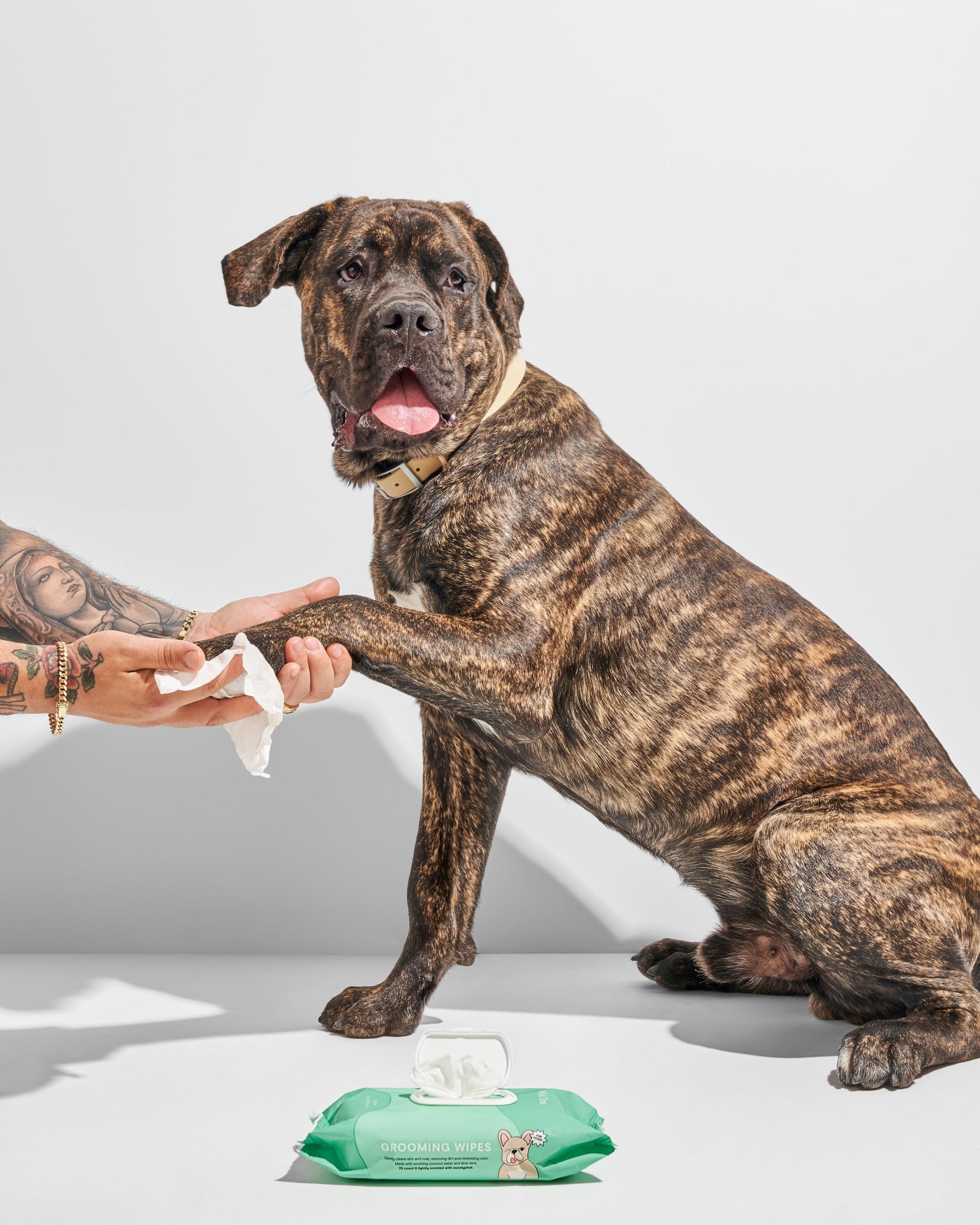 Dog Grooming Wipes