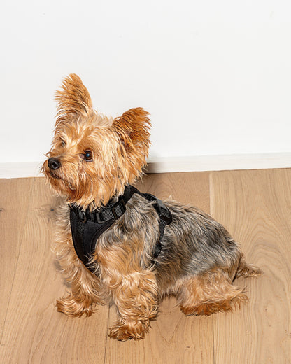 Cushioned Dog Harness