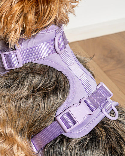 Cushioned Dog Harness