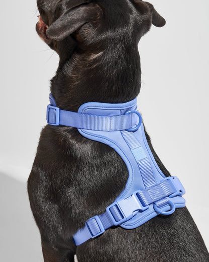 Cushioned Dog Harness