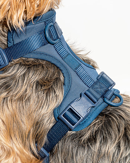 Cushioned Dog Harness